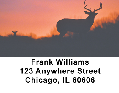 Deer Sunset Silhouettes Address Labels