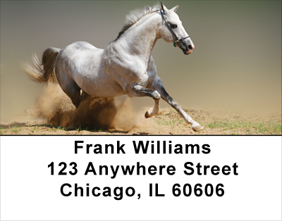 Playful Address Labels