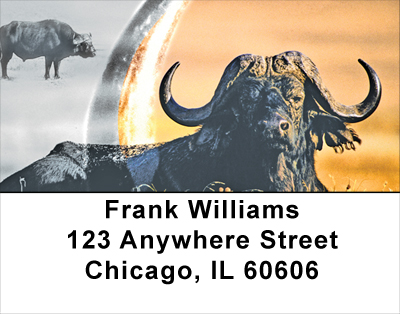 Water Buffalo Address Labels