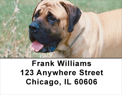 Mastiff Address Labels