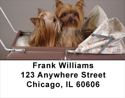 Yorkies Address Labels