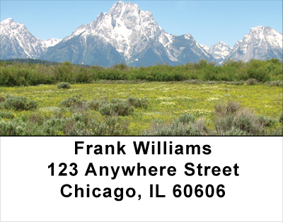 Mountain Wildflowers Address Labels