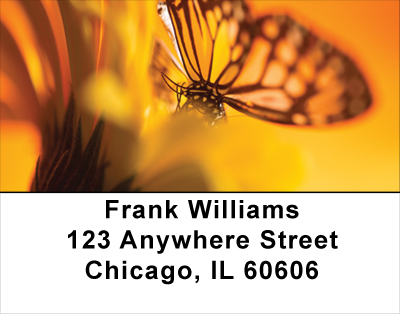 Golden New Day Address Labels