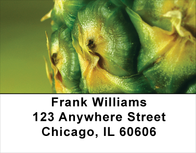 Pineapple Abstracts Address Labels