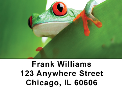 It's A Froggy Frog World Address Labels
