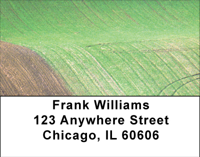 Fields In Spring Address Labels