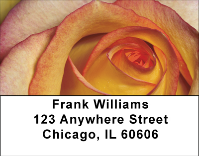 Everything Is Coming Up Roses Address Labels