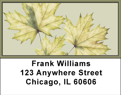 Subtle Fall Elegance Address Labels