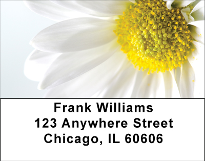 Daisy Dreamin' Address Labels