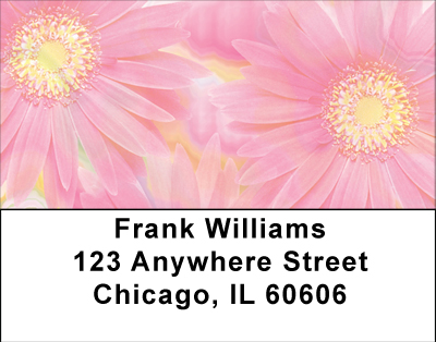 Pink Dreams Address Labels
