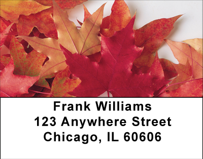 Fallen Colors On Fire Address Labels