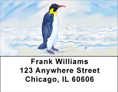 Penguin's Perspective Address Labels