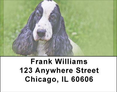 Adorable Cocker Spaniels Address Labels
