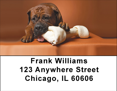 Boxer Fun Address Labels