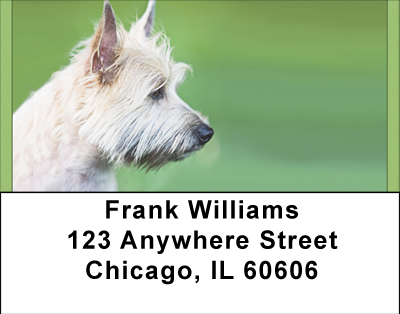 Cairn Terriers Address Labels