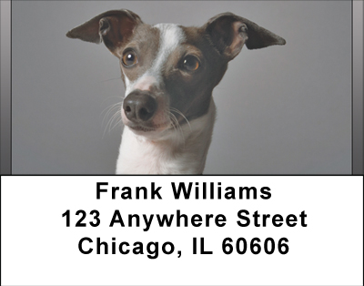 Greyhounds Address Labels