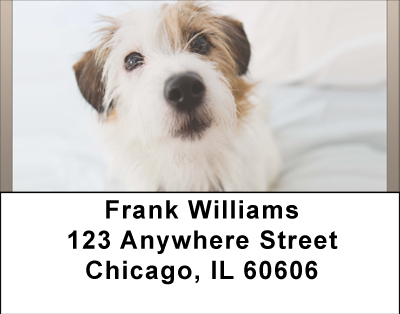 Bed Bath and WAY Beyond Address Labels