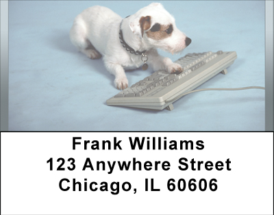 Old Dog New Tricks Address Labels