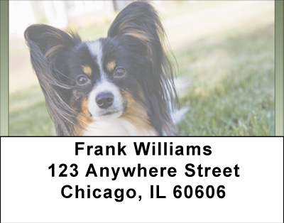 Pampered Papillon Address Labels