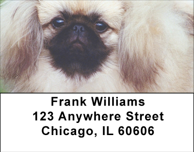 Perky Pekingese Address Labels