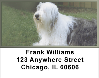 Sheepdogs Address Labels