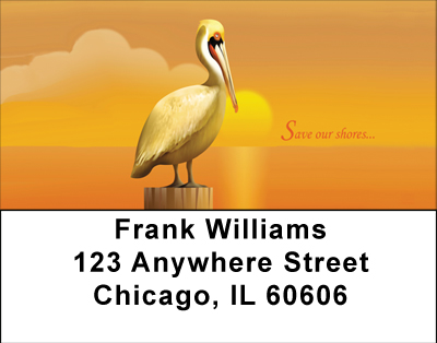 Save Our Shores Address Labels