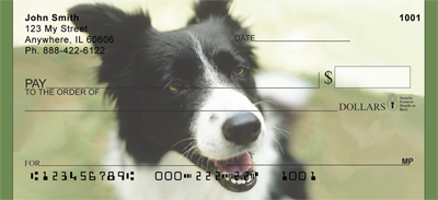 Border Collies Personal Checks