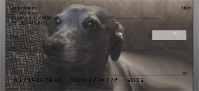 Graceful Greyhounds Personal Checks