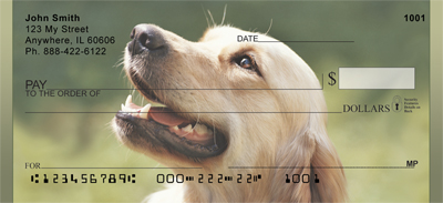 Beautiful Yellow Labs Personal Checks