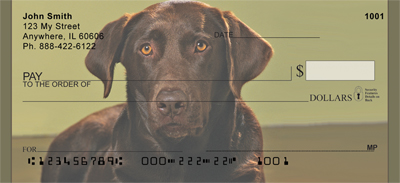 Chocolate Lab Alert Personal Checks