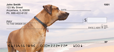 Beach Lab Personal Checks