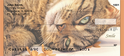 Smile Personal Checks