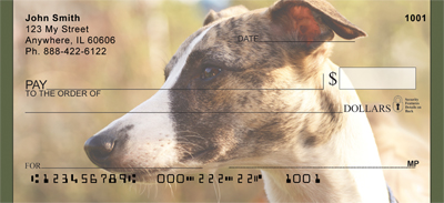 Greyhound Glances Personal Checks