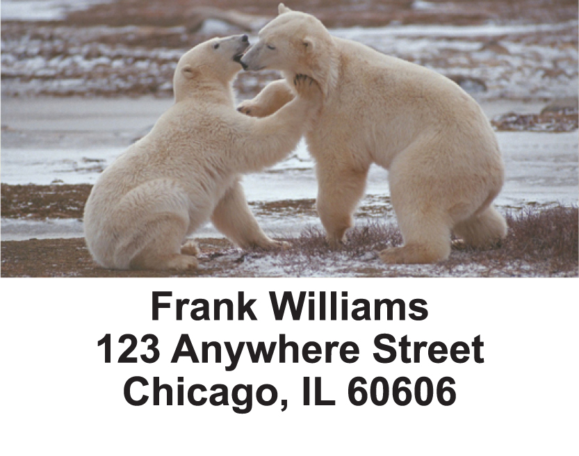 Bears in the Wild Address Labels