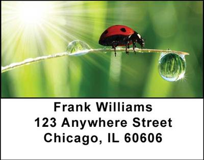 Ladybugs Address Labels