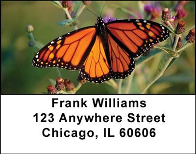 Monarch Butterflies Address Labels
