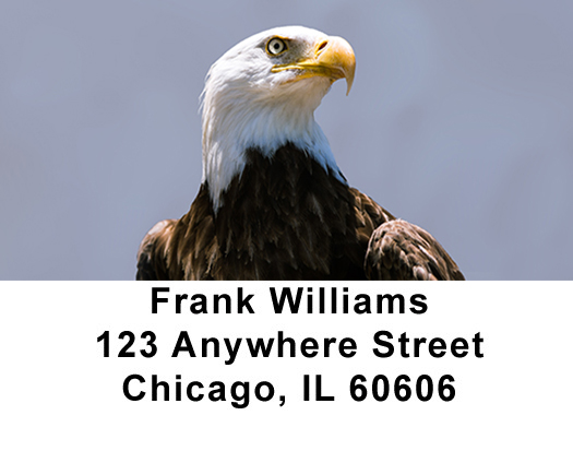 Bald Eagles Address Labels