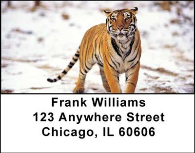 Big Cats Address Labels