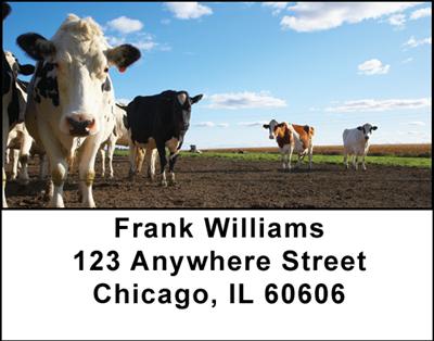 Cows Address Labels