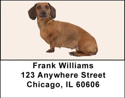 Dachshund Address Labels