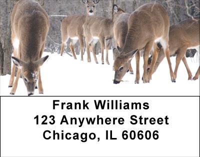 Deer In Winter Address Labels