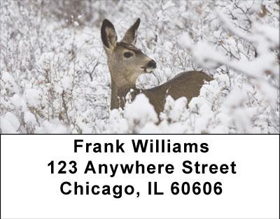 Winter Wonderland Wth Deer Address Labels