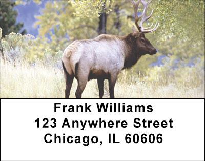 Elks In High Country Address Labels