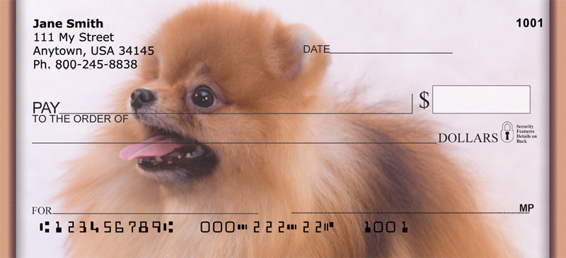 Playful Pomeranians Personal Checks