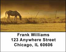 Early Morning Address Labels