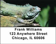 Razzle-Dazzle Reptiles Address Labels