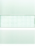 Green Safety Blank Middle Voucher Computer Checks
