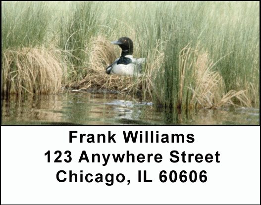 Nesting Loons Address Labels