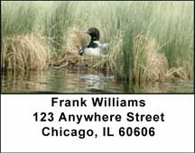 Nesting Loons Address Labels