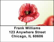 Watercolor Poppy Address Labels